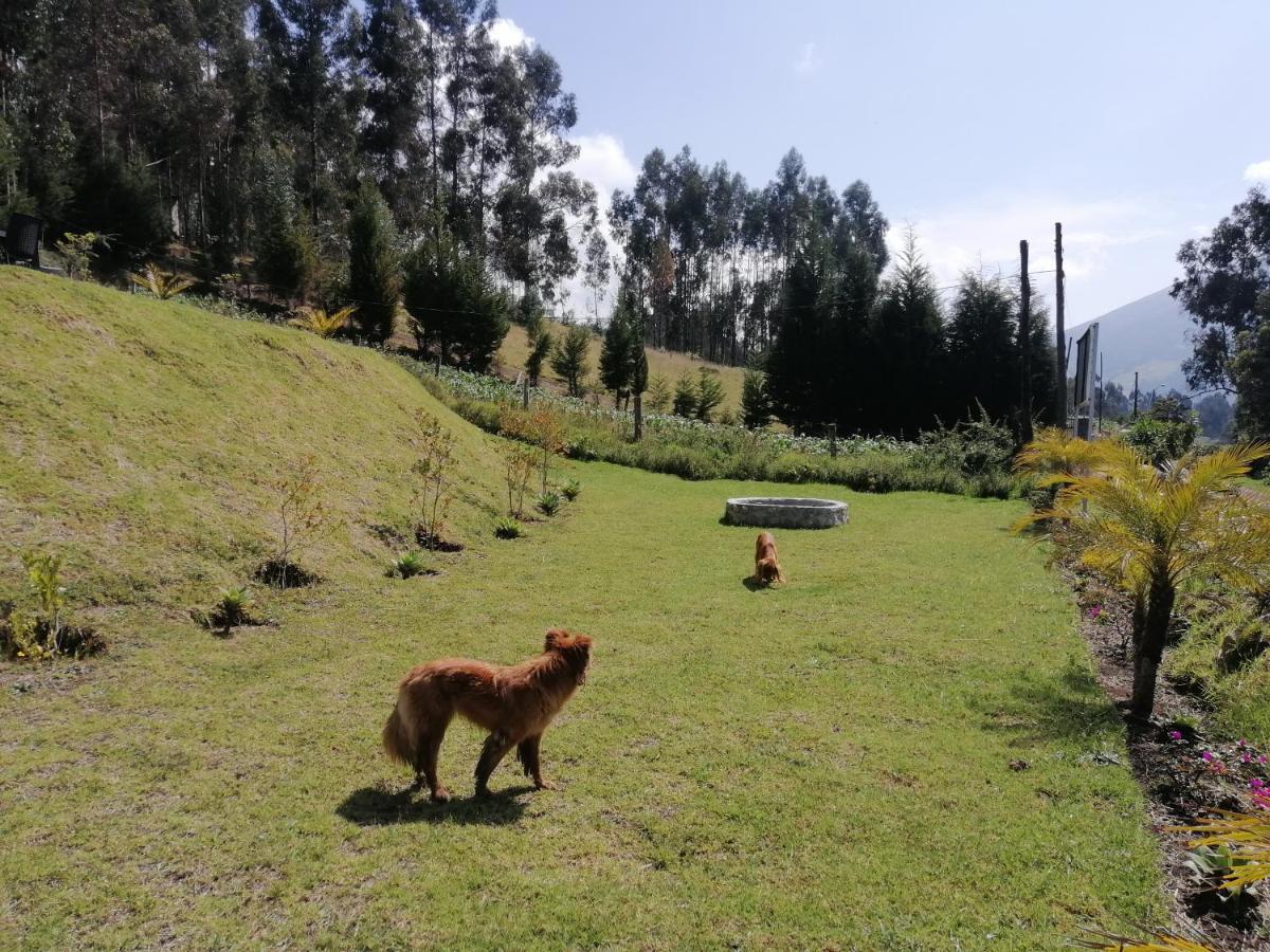 Samay Toa Hotel Otavalo Kültér fotó