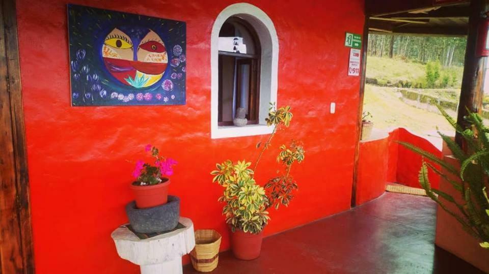 Samay Toa Hotel Otavalo Kültér fotó