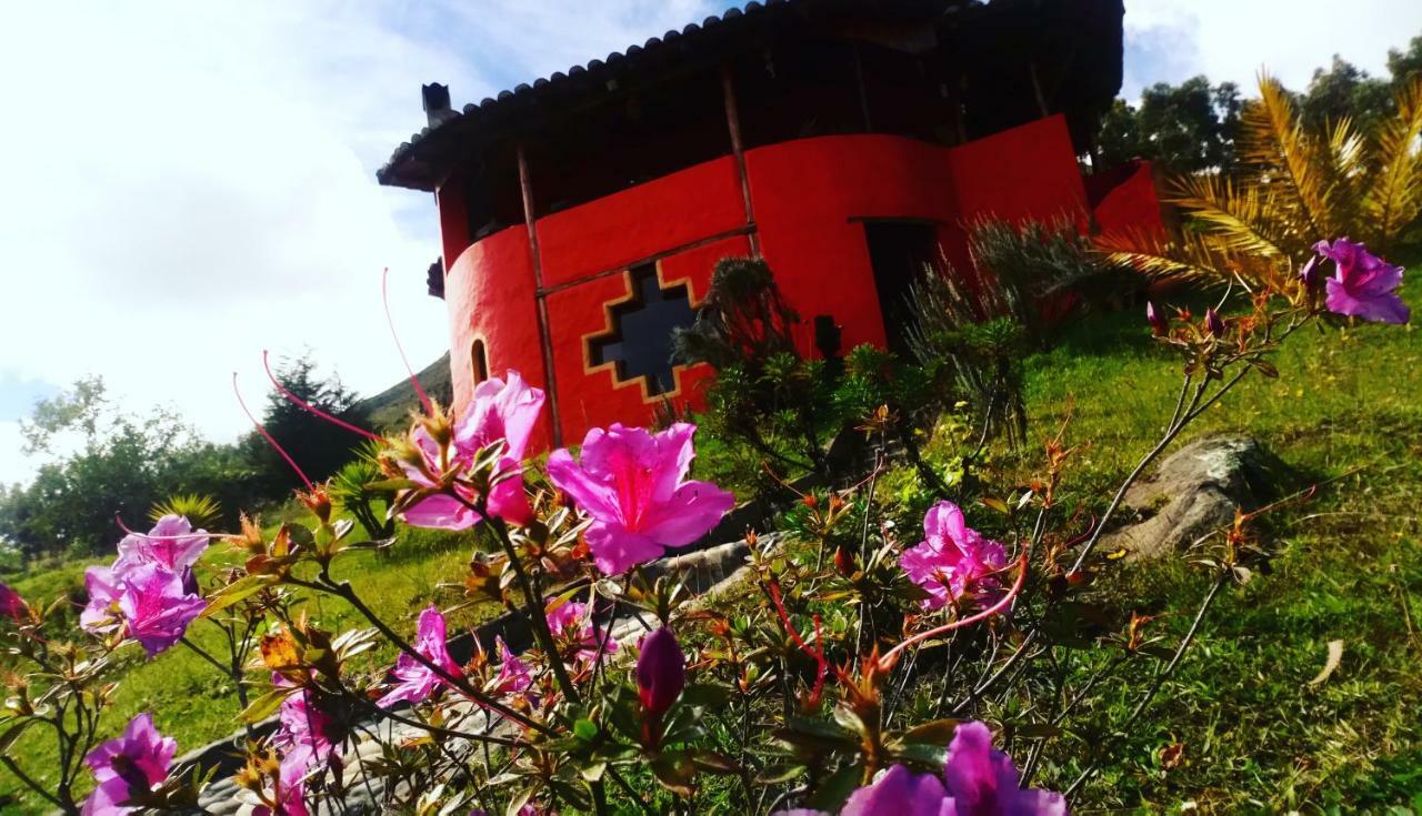 Samay Toa Hotel Otavalo Kültér fotó